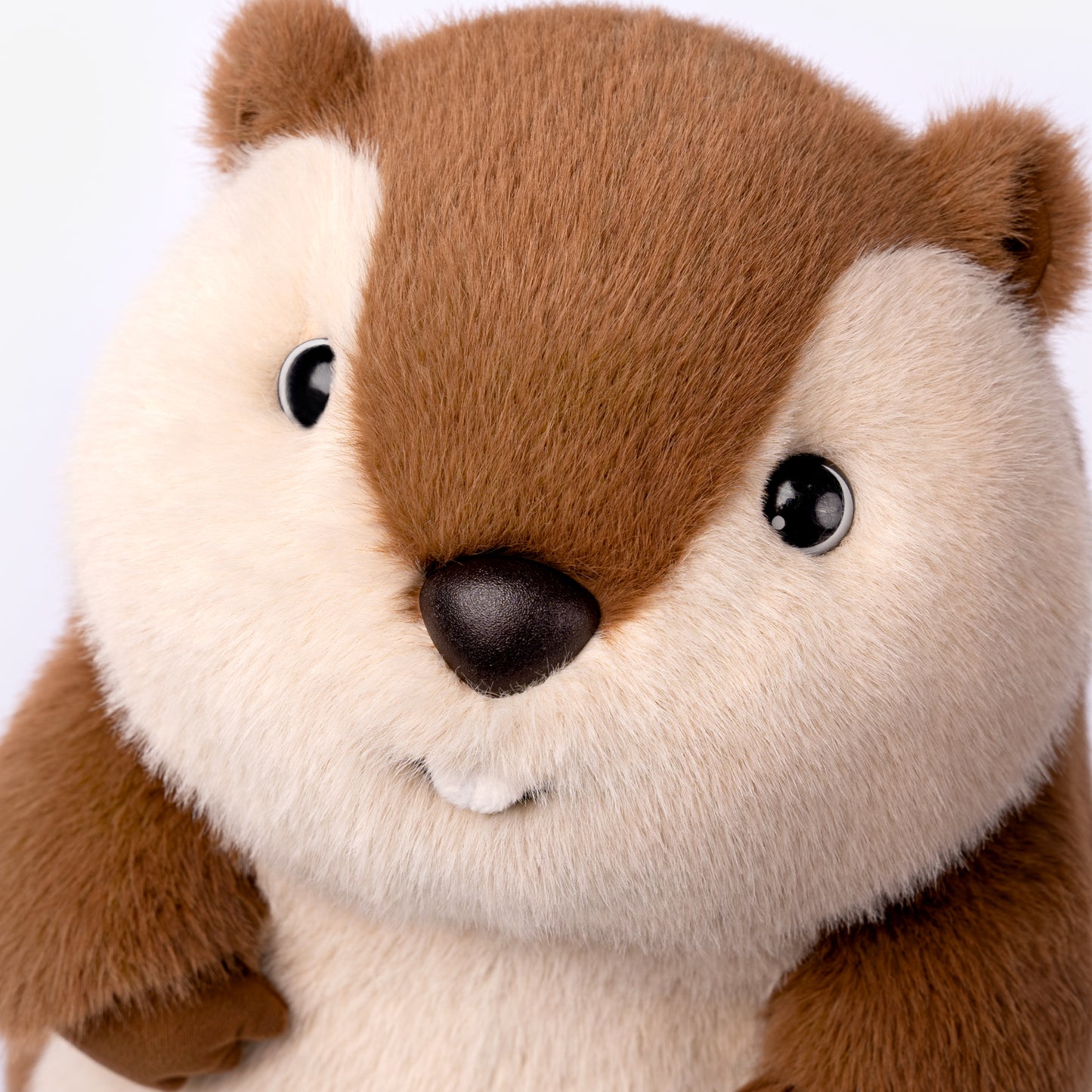 Levida Prairie Dog