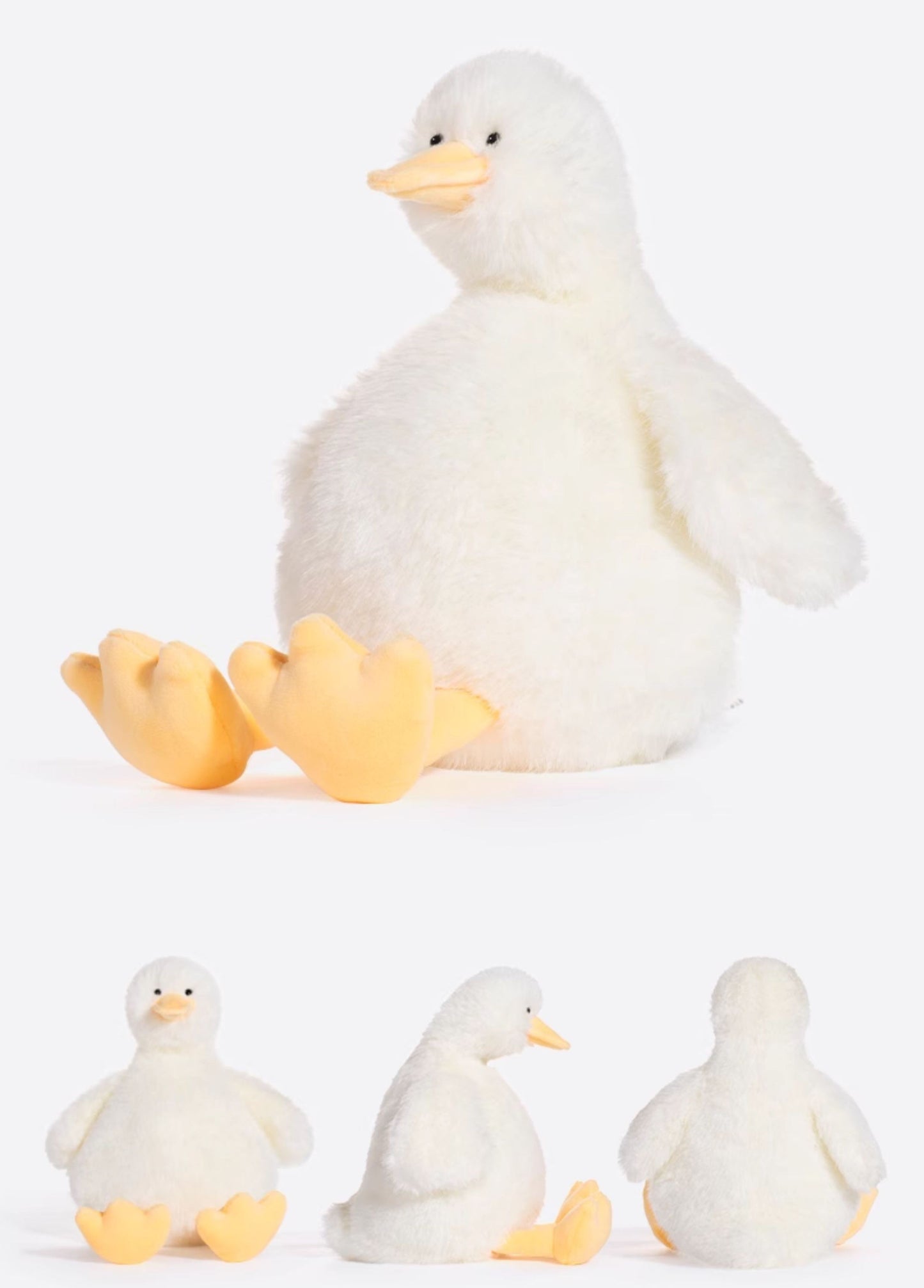 Levida ladom Duck White