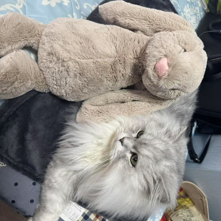 Customer gallery photo of a plush companion