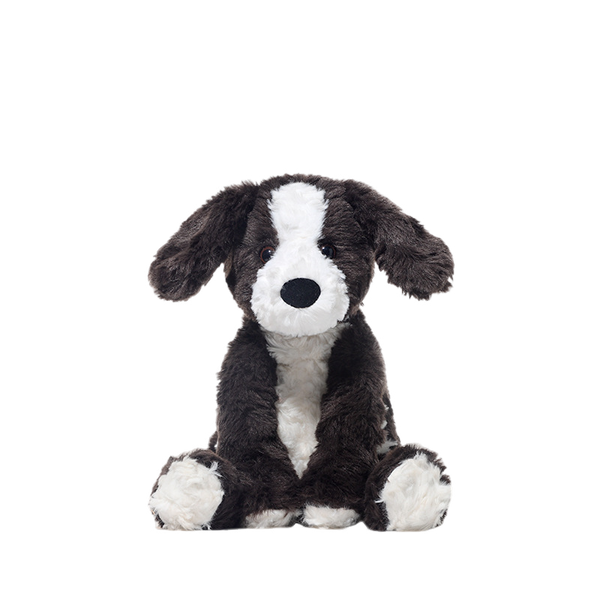 Voyage Pluto Border Colie