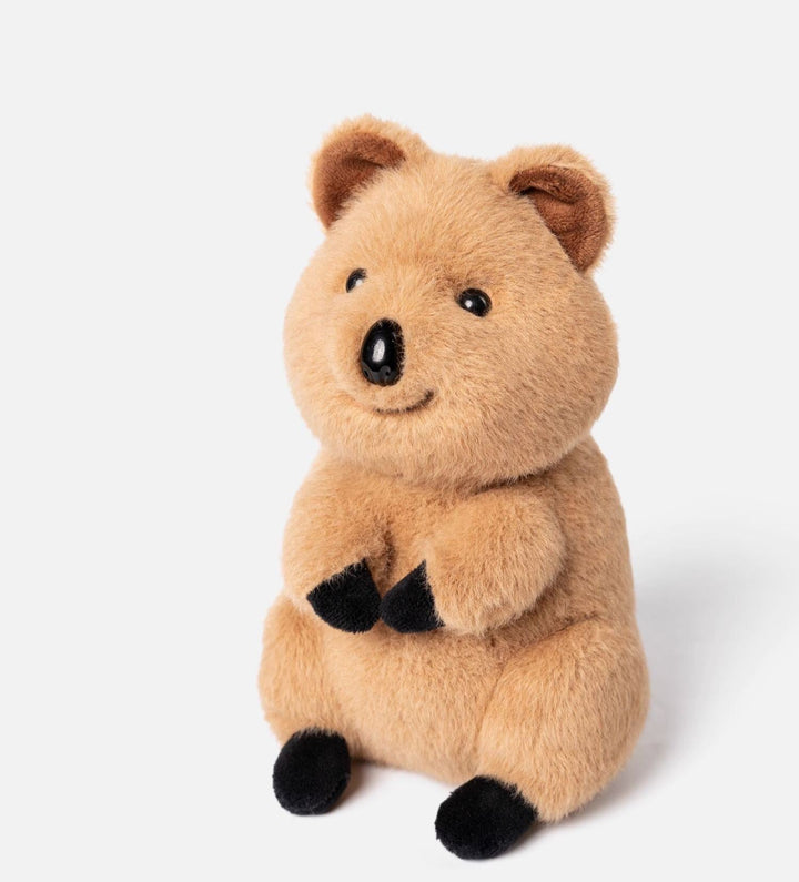 Voyage Little Koka Kangaroo